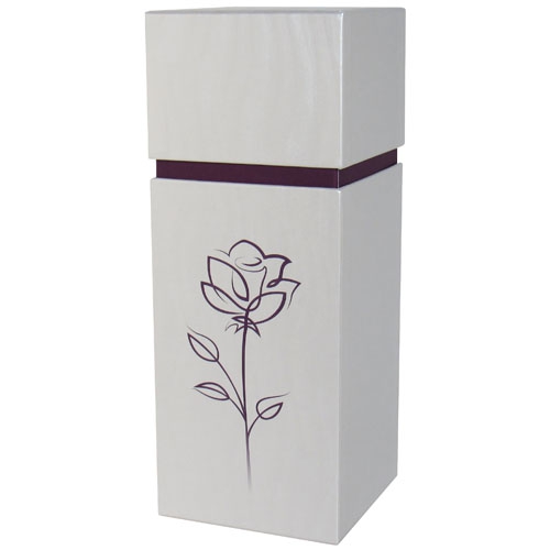 TD1 - Ivoire et Rose