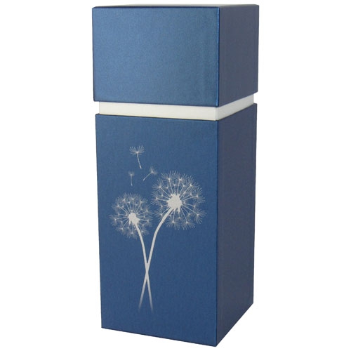 TD1 - Bleu Ephémère