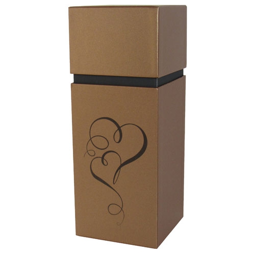 TD1 - Bronze et Coeur