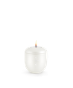 [URNVOP1586L] P1586L