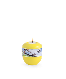 [URNVOP90FGSL] P90FGSL