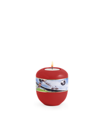 [URNVOP90FRWL] P90FRWL