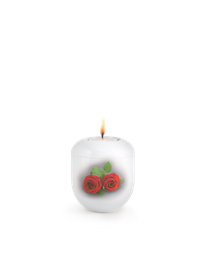 [URNVOP51FWL] P51FWL