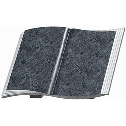 [MANLILVO2GROOT] LVO2 groot