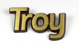 Troy
