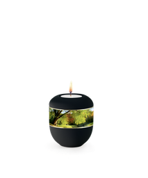 [URNVOP6842L] P6842L