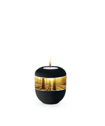 [URNVOP6843L] P6843L