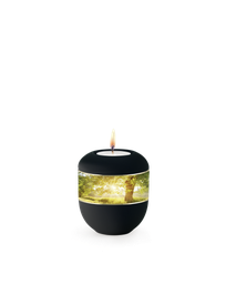 [URNVOP6844L] P6844L