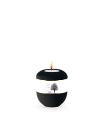 [URNVOP6847L] P6847L