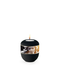 [URNVOP6838L] P6838L