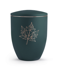 [URNVO340213] 340213