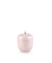 [URNVOP5505L] P5505L