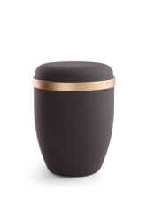 [URNVO580-077] 580-077