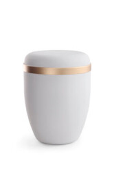 [URNVO580-084] 580-084