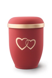 [URNVO2015HZ] 2015HZ