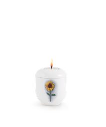 [URNVOP34FWL] P34FWL